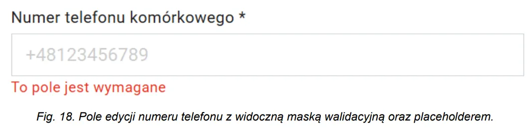 Serwisy-zewnetrzne 29